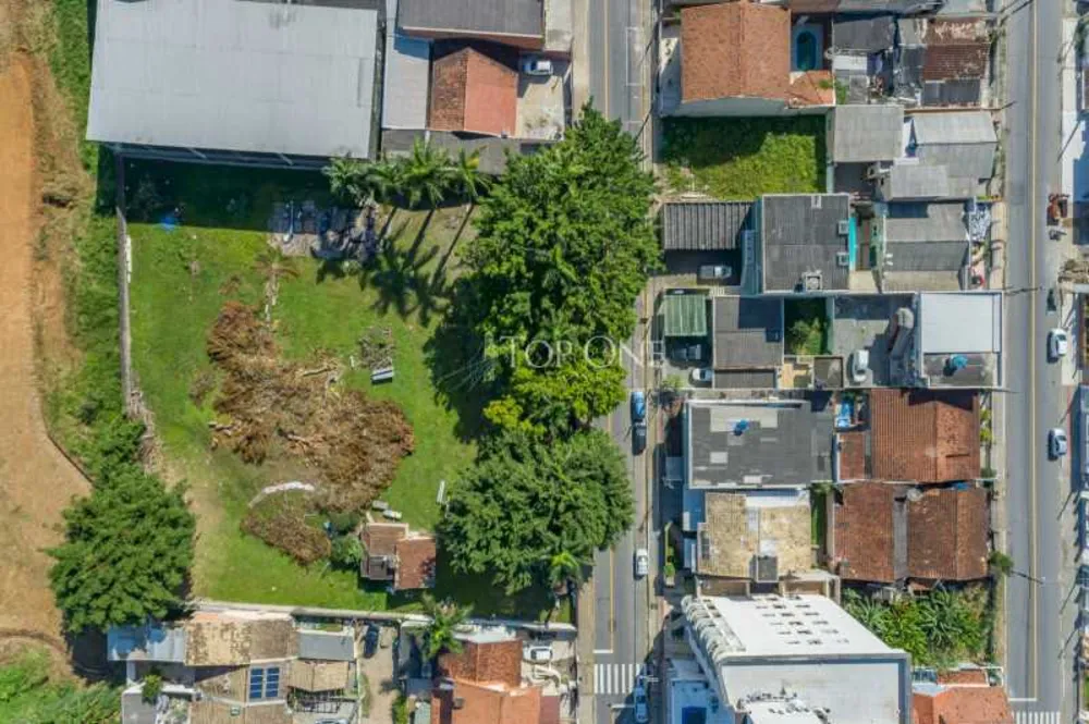 Terreno, 249 hectares - Foto 1