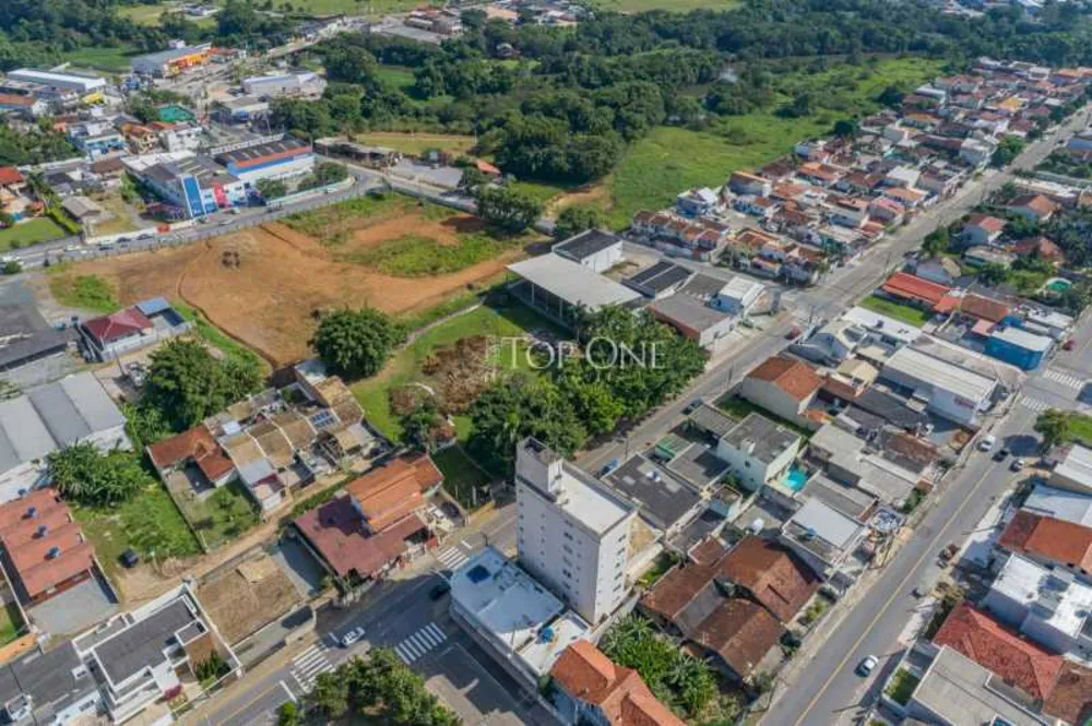 Terreno, 249 hectares - Foto 4