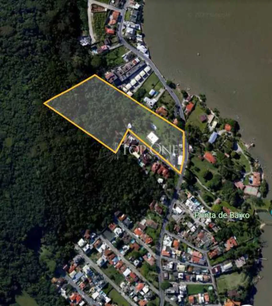 Terreno, 4 hectares - Foto 3