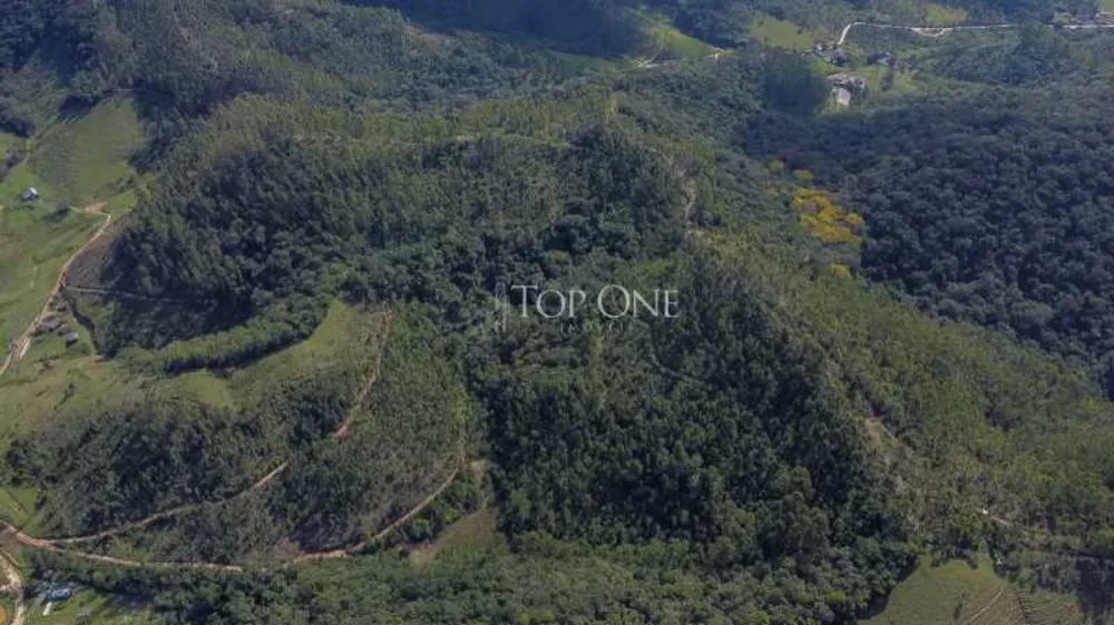 Fazenda, 190 hectares - Foto 4