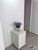 Loja-Salão, 150 m² - Foto 7