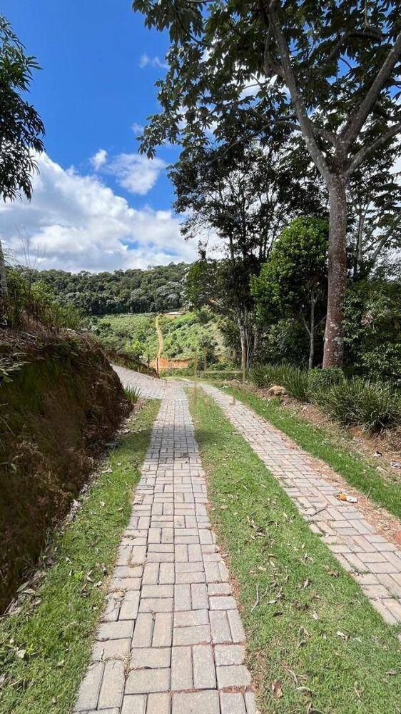 Terreno, 3000 m² - Foto 3