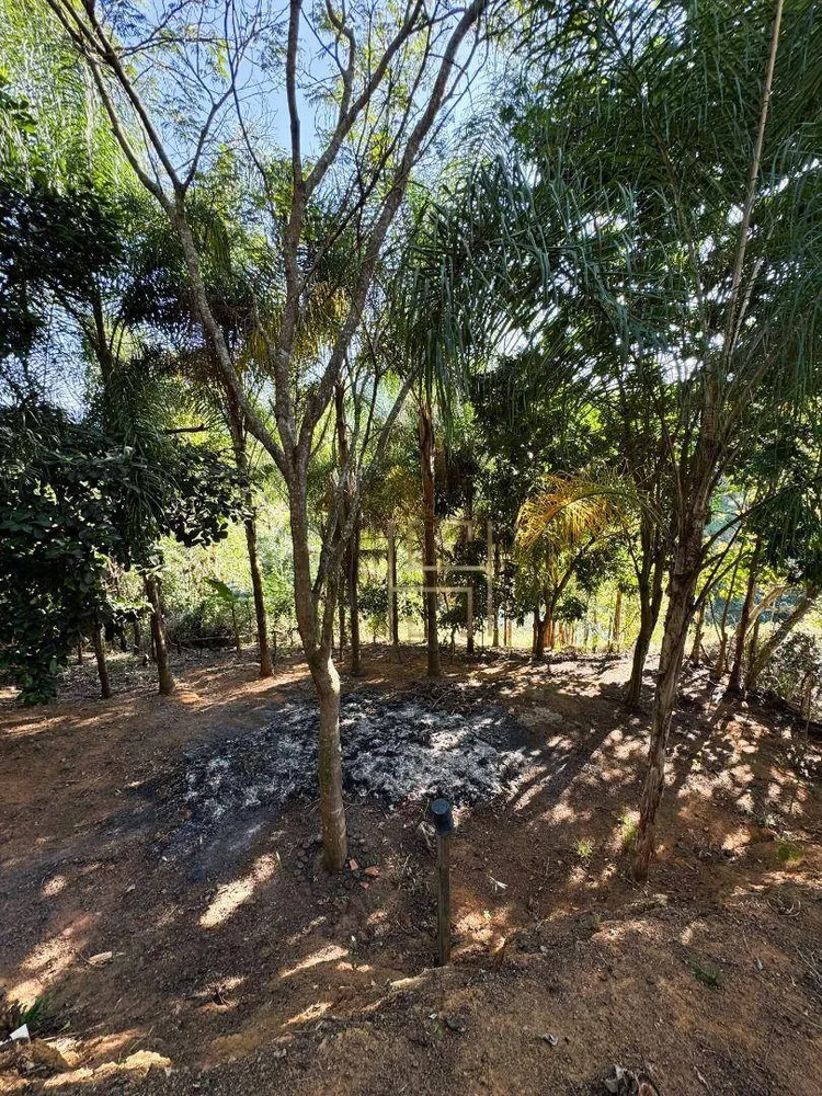 Chácara, 5 quartos, 4700 m² - Foto 2