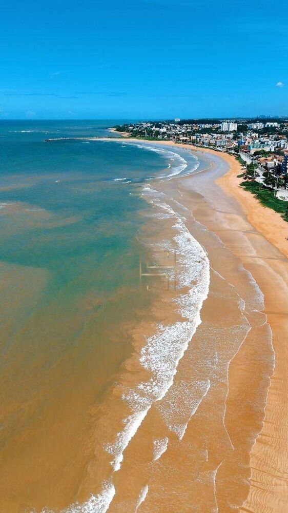 Casa, 5 quartos, 355 m² - Foto 2