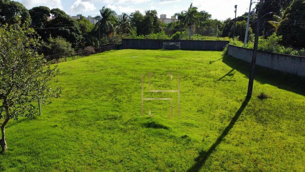 Terreno, 4 hectares - Foto 10