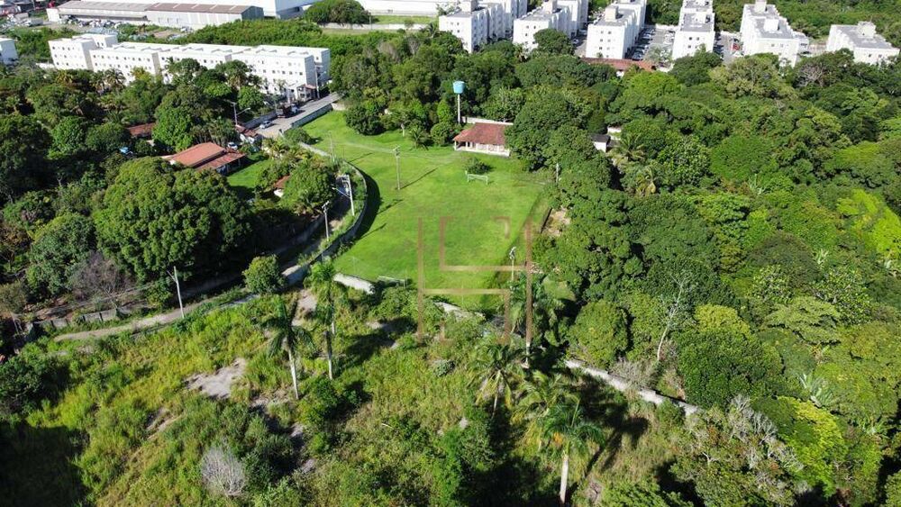 Terreno, 4 hectares - Foto 1