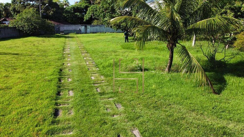 Terreno, 4 hectares - Foto 9