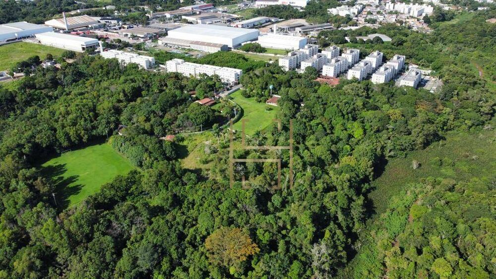 Terreno, 4 hectares - Foto 5