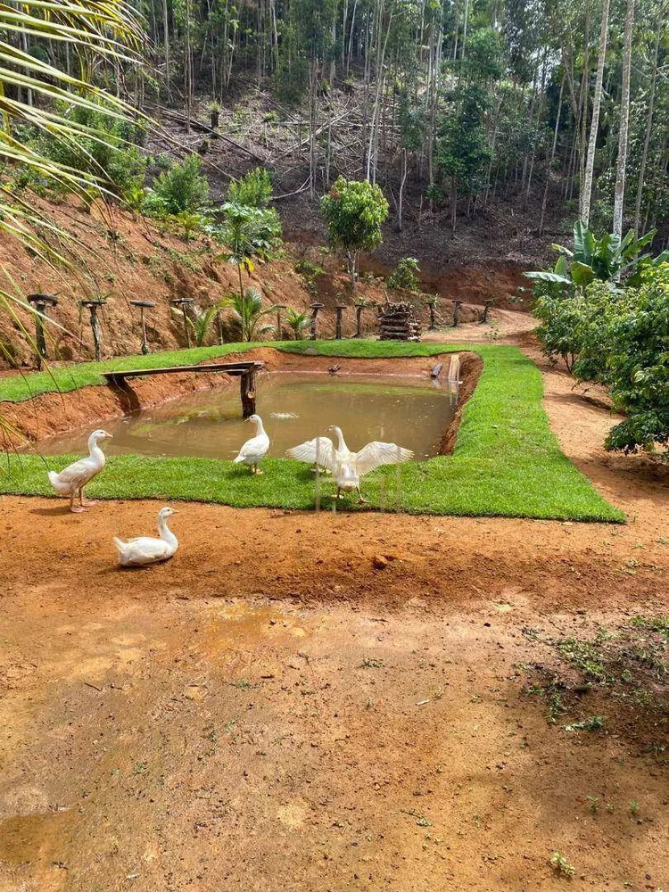 Sítio, 2 quartos, 10 hectares - Foto 13
