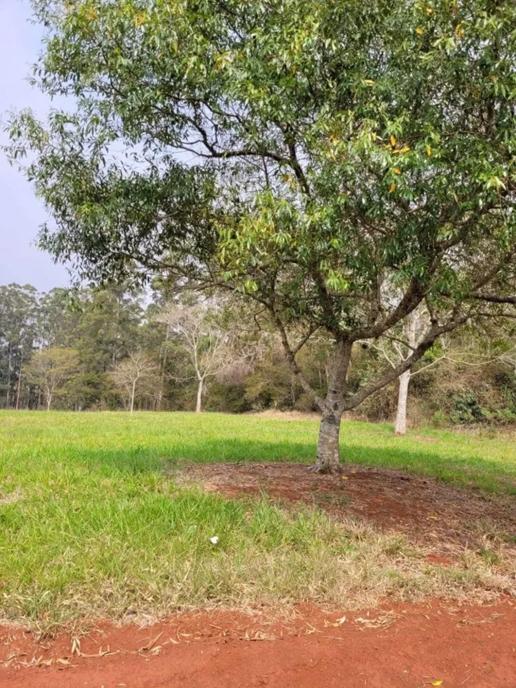 Terreno, 332 m² - Foto 7