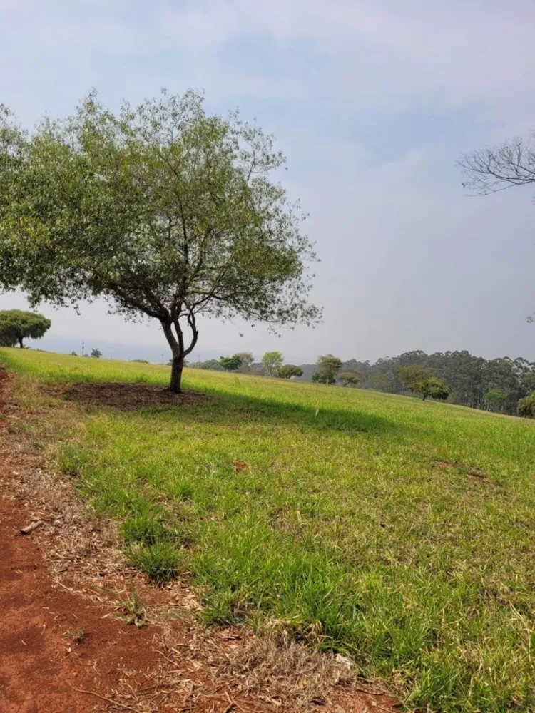 Terreno, 332 m² - Foto 5