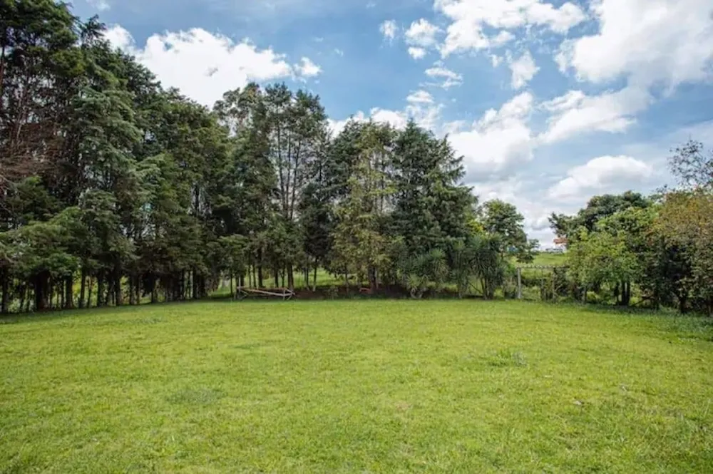 Sítio, 4 quartos, 2 hectares - Foto 4