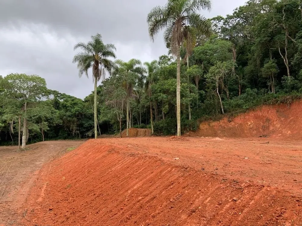 Terreno, 2 hectares - Foto 3