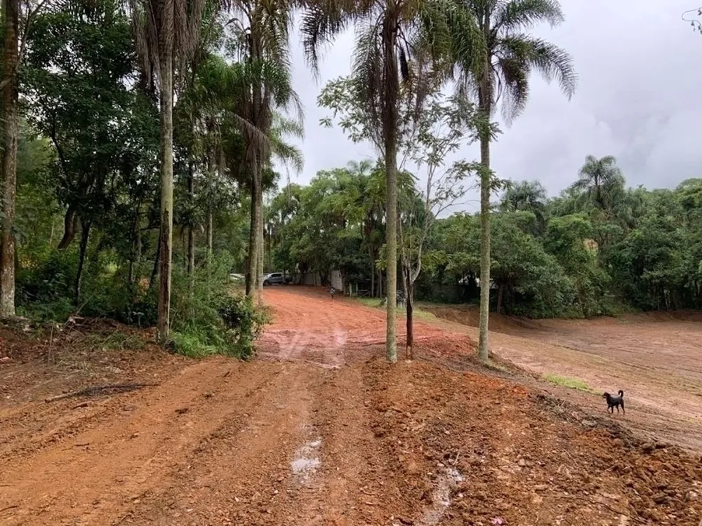 Terreno, 2 hectares - Foto 6