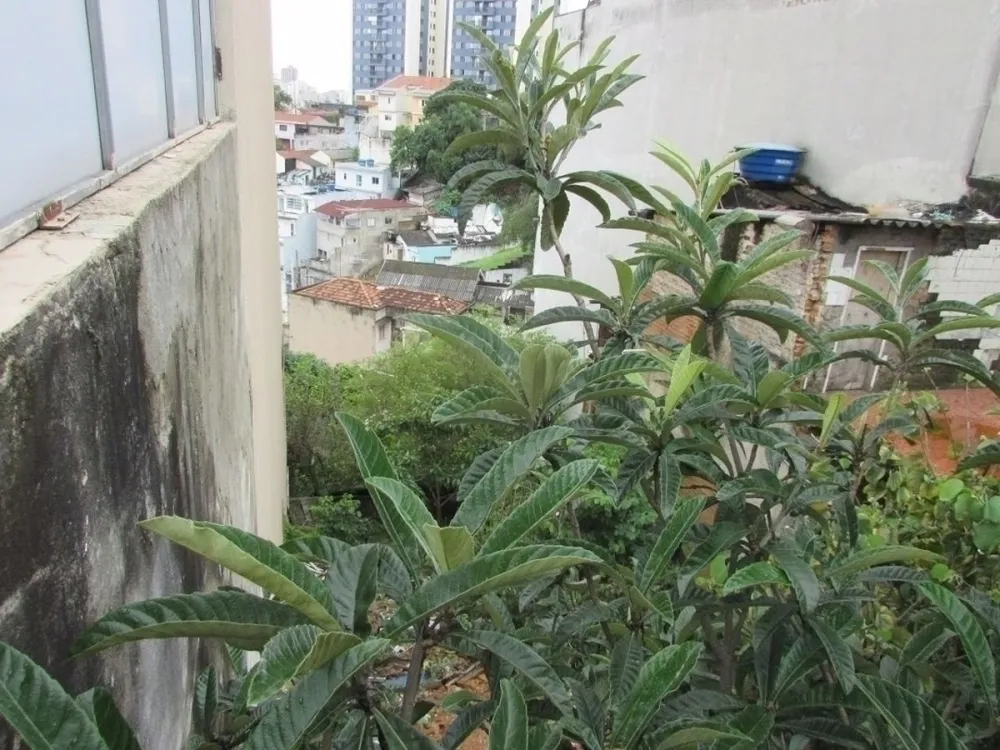 Terreno, 300 m² - Foto 3