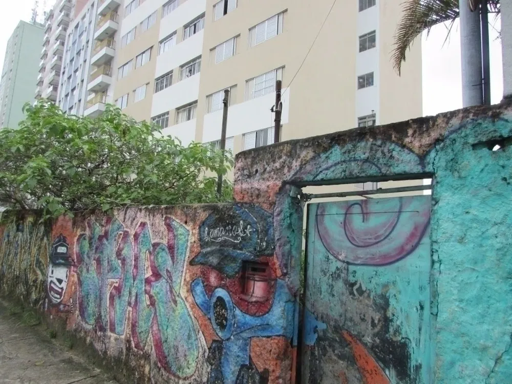 Terreno, 300 m² - Foto 4