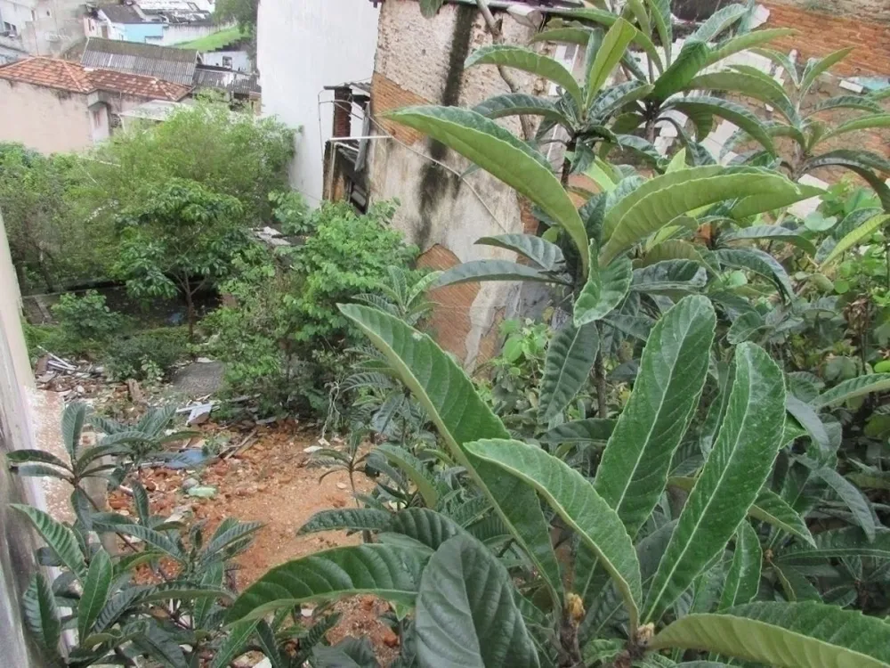 Terreno, 300 m² - Foto 4