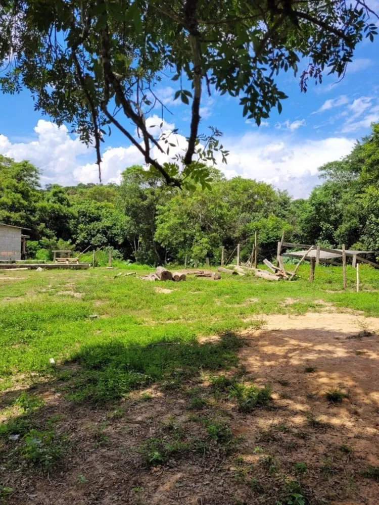 Terreno, 29 hectares - Foto 2