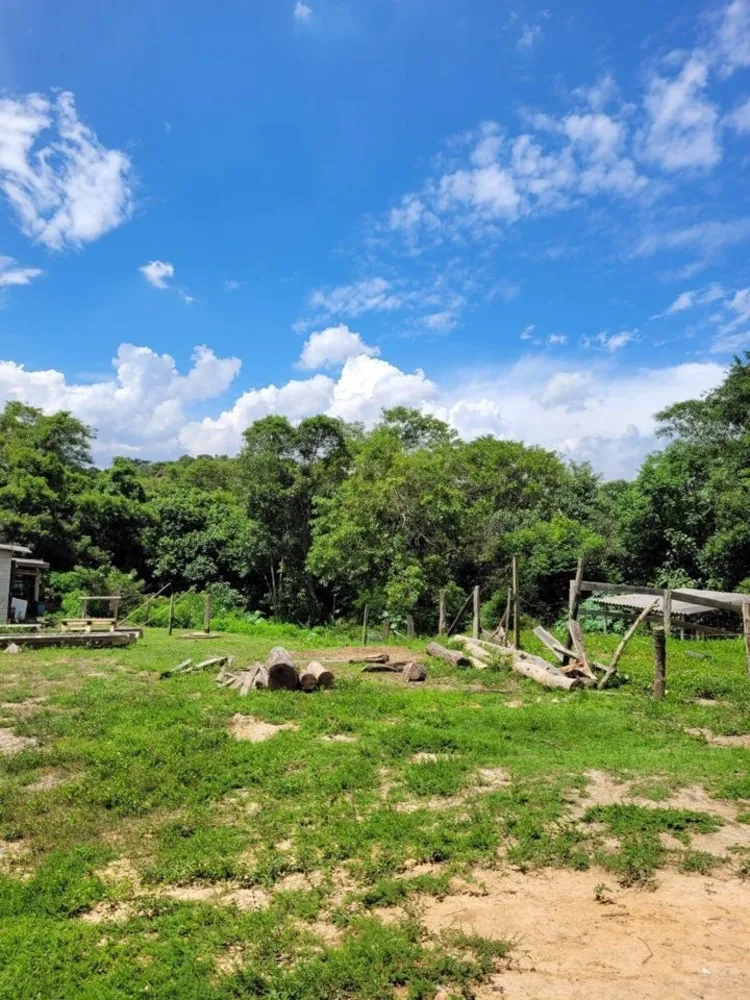 Terreno, 29 hectares - Foto 4