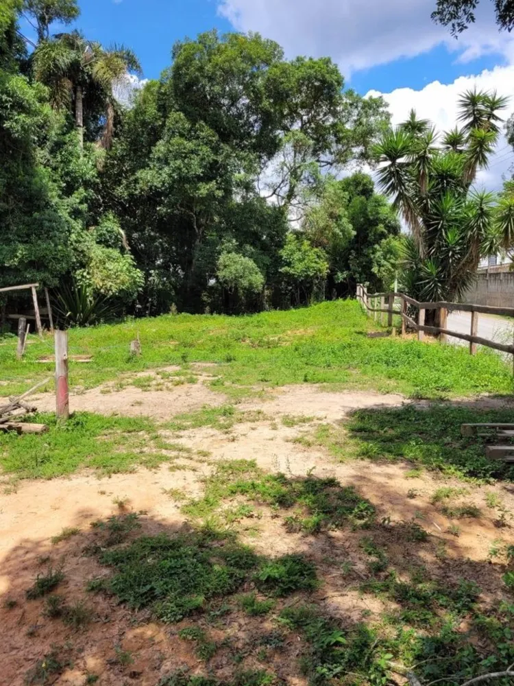 Terreno, 29 hectares - Foto 3