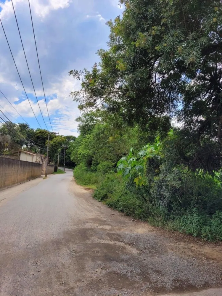 Terreno, 29 hectares - Foto 1