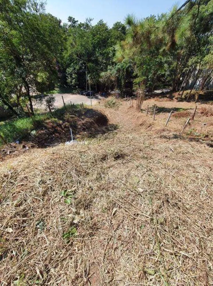 Terreno, 1239 m² - Foto 5