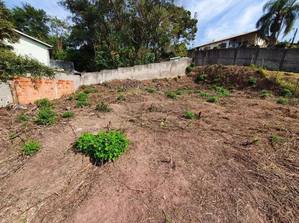 Terreno, 1239 m² - Foto 6
