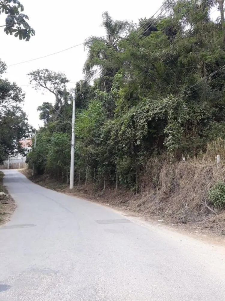 Terreno, 6000 m² - Foto 6