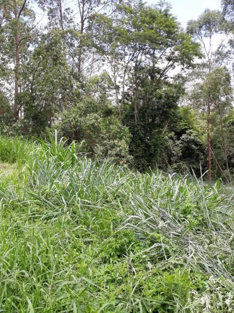 Terreno, 5700 m² - Foto 2