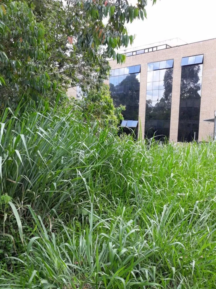 Terreno, 5700 m² - Foto 1