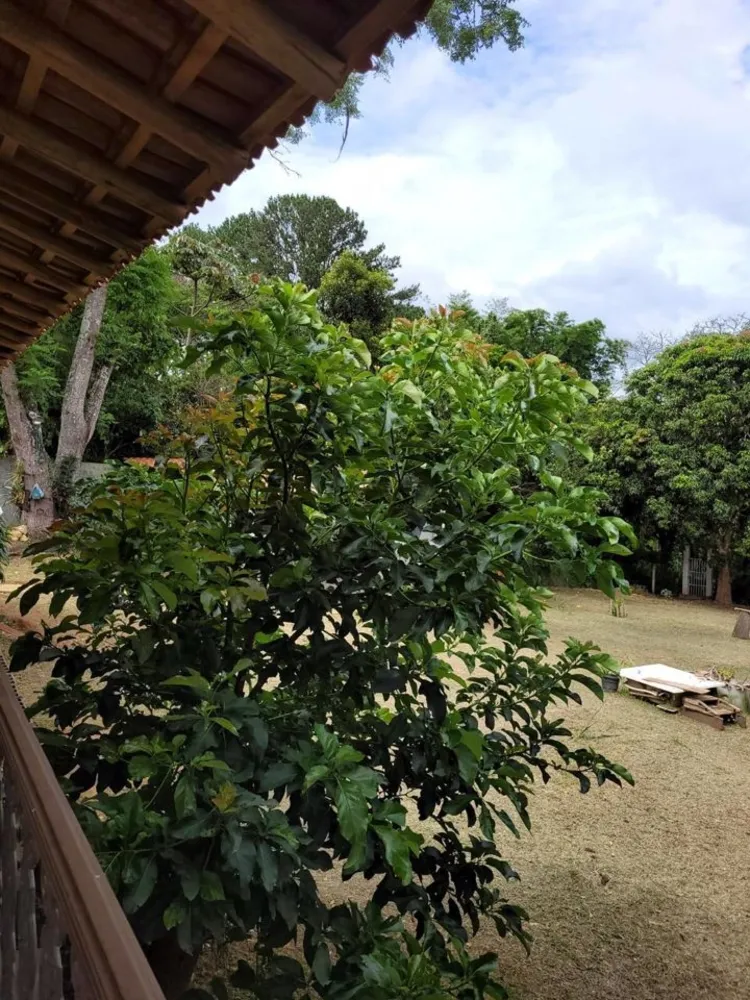 Casa, 2 quartos, 244 m² - Foto 6