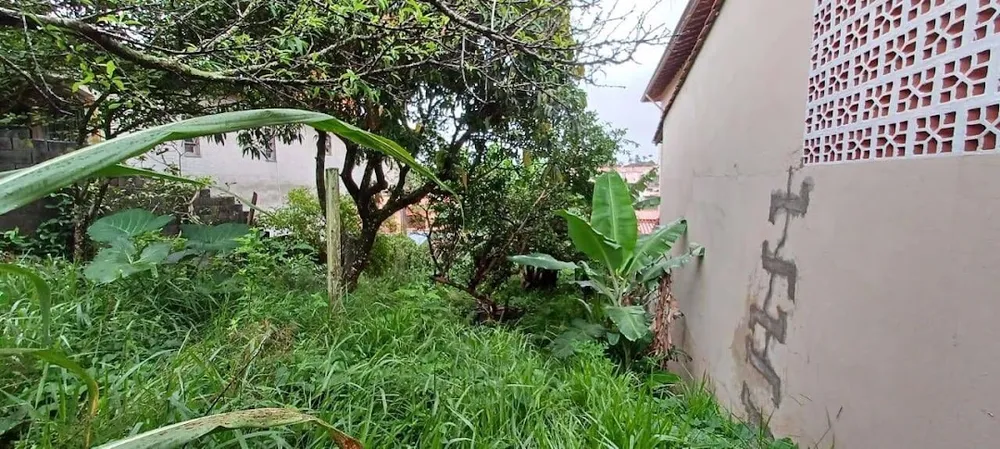 Terreno, 250 m² - Foto 6