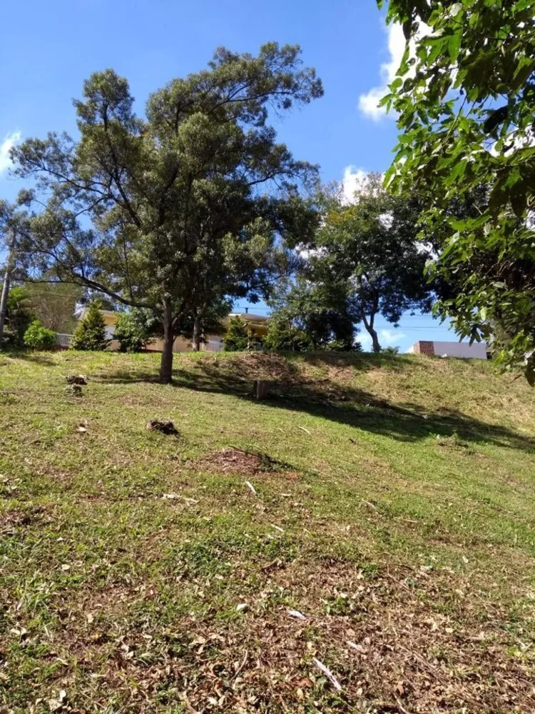 Terreno, 704 m² - Foto 5