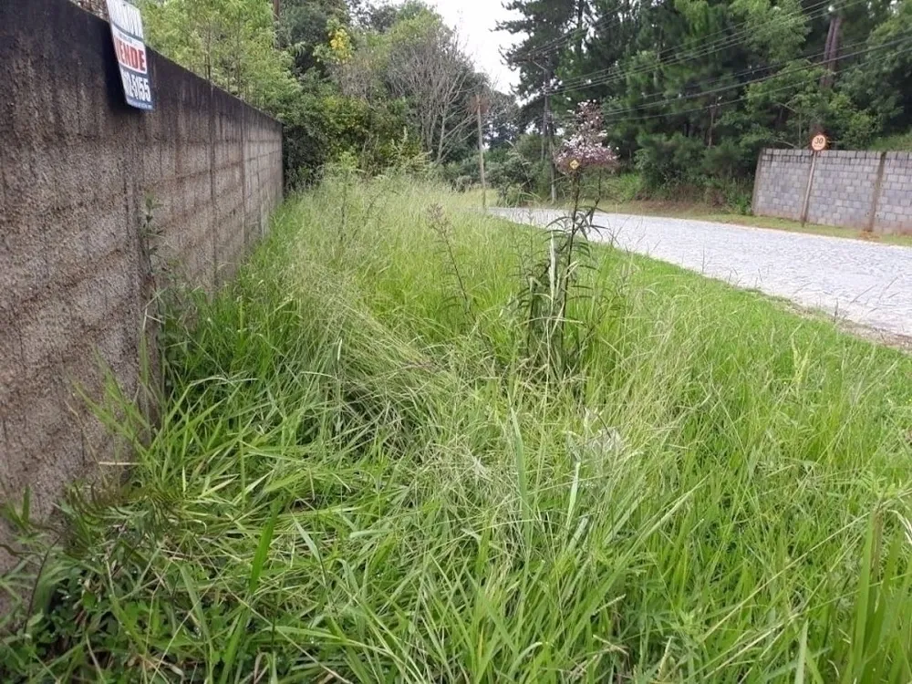 Terreno, 2400 m² - Foto 1