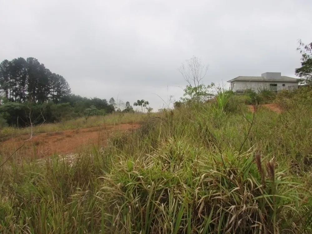 Terreno, 5000 m² - Foto 2
