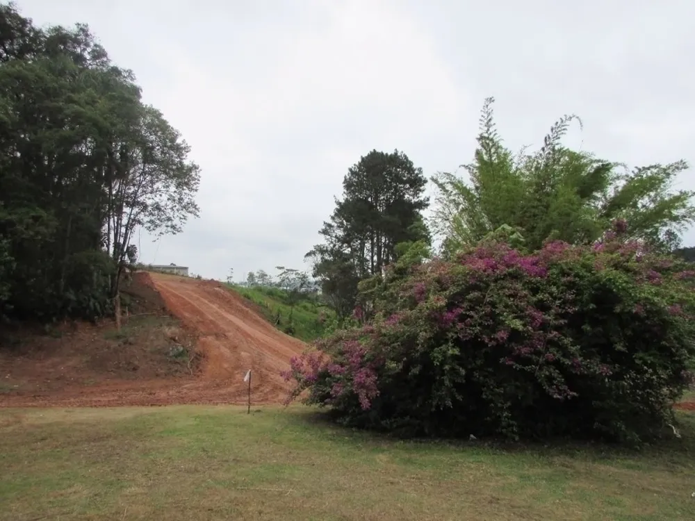 Terreno, 125 m² - Foto 3