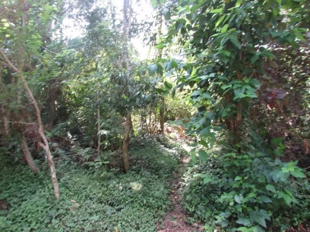 Terreno, 500 m² - Foto 3