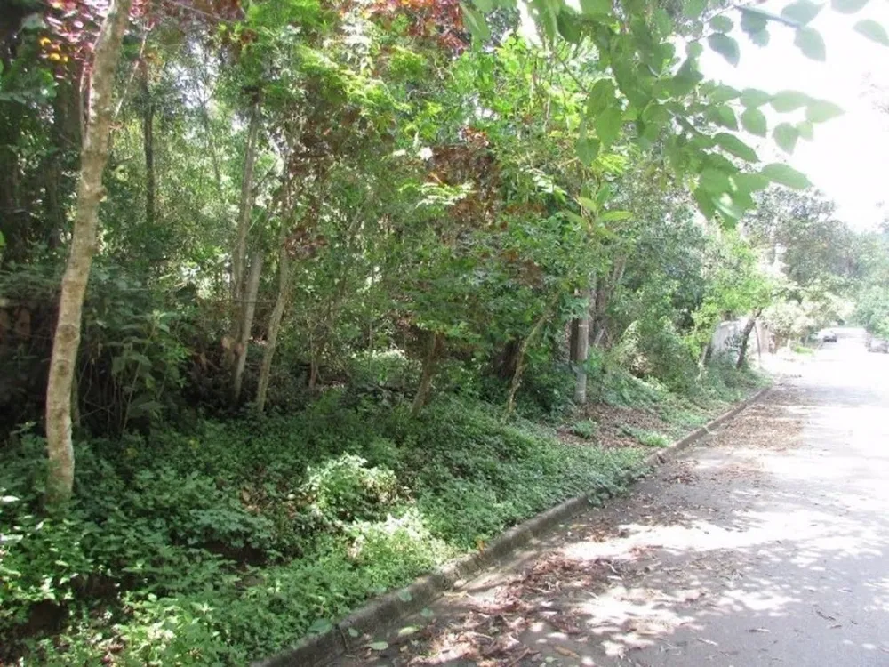 Terreno, 500 m² - Foto 5