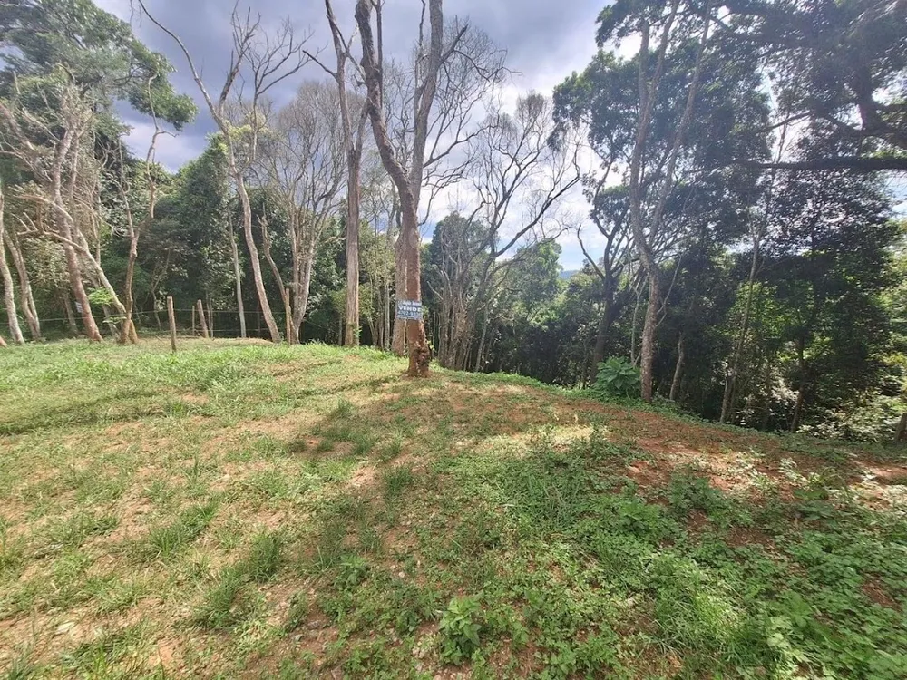 Terreno, 1575 m² - Foto 1