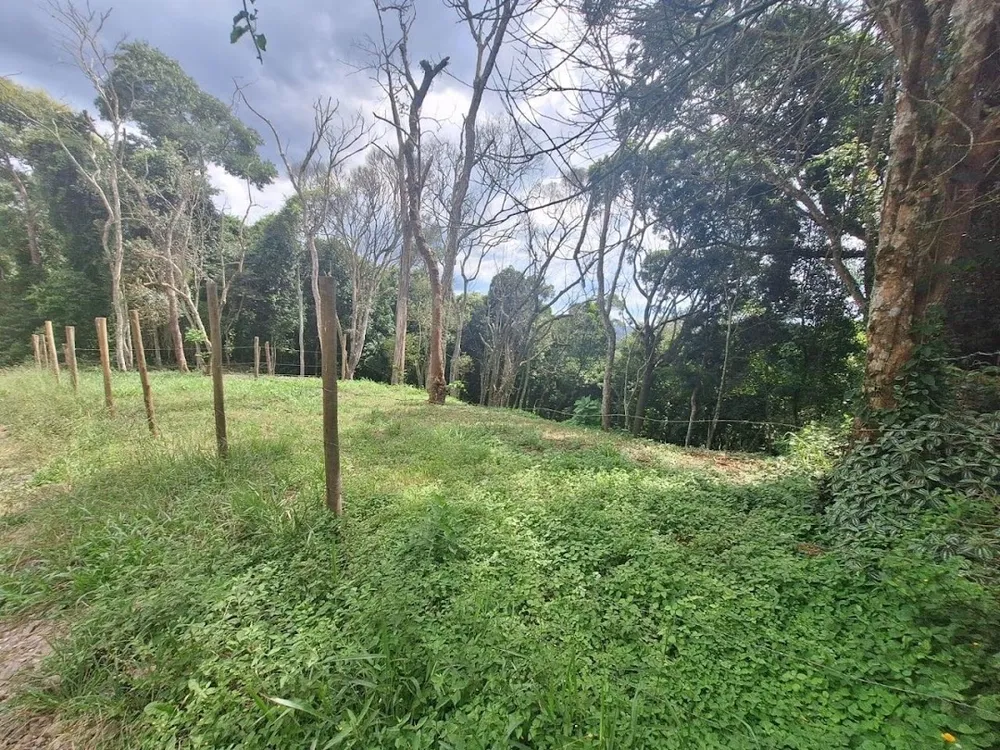 Terreno, 1575 m² - Foto 6