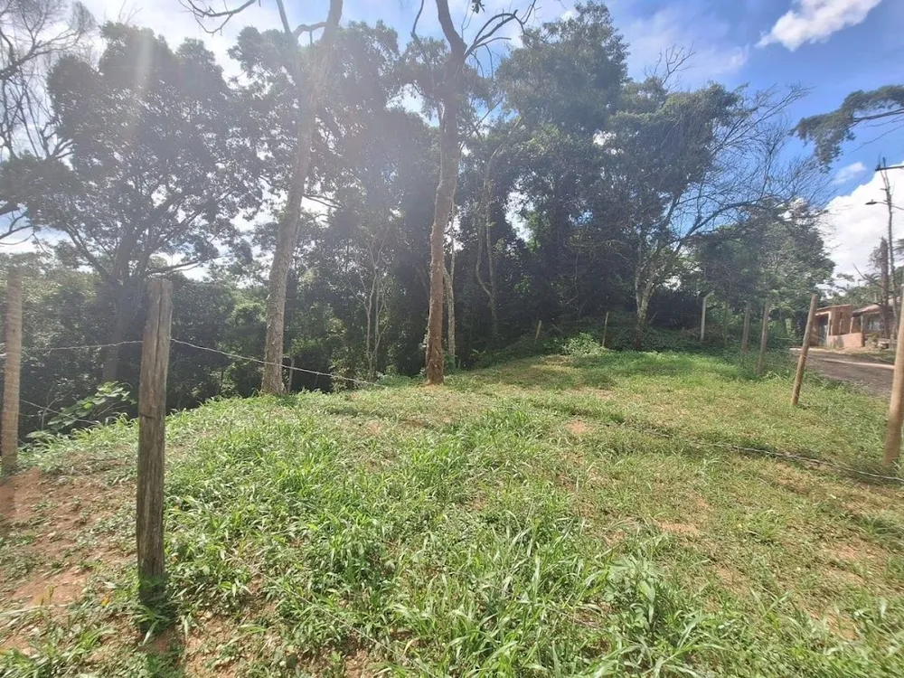 Terreno, 1575 m² - Foto 8
