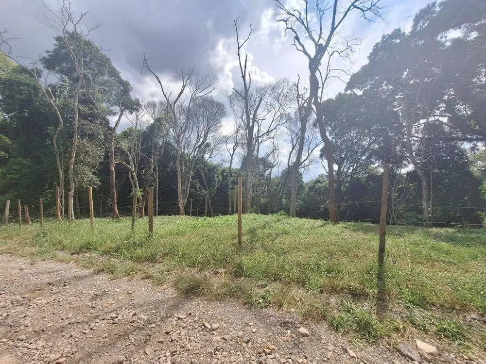 Terreno, 1575 m² - Foto 5