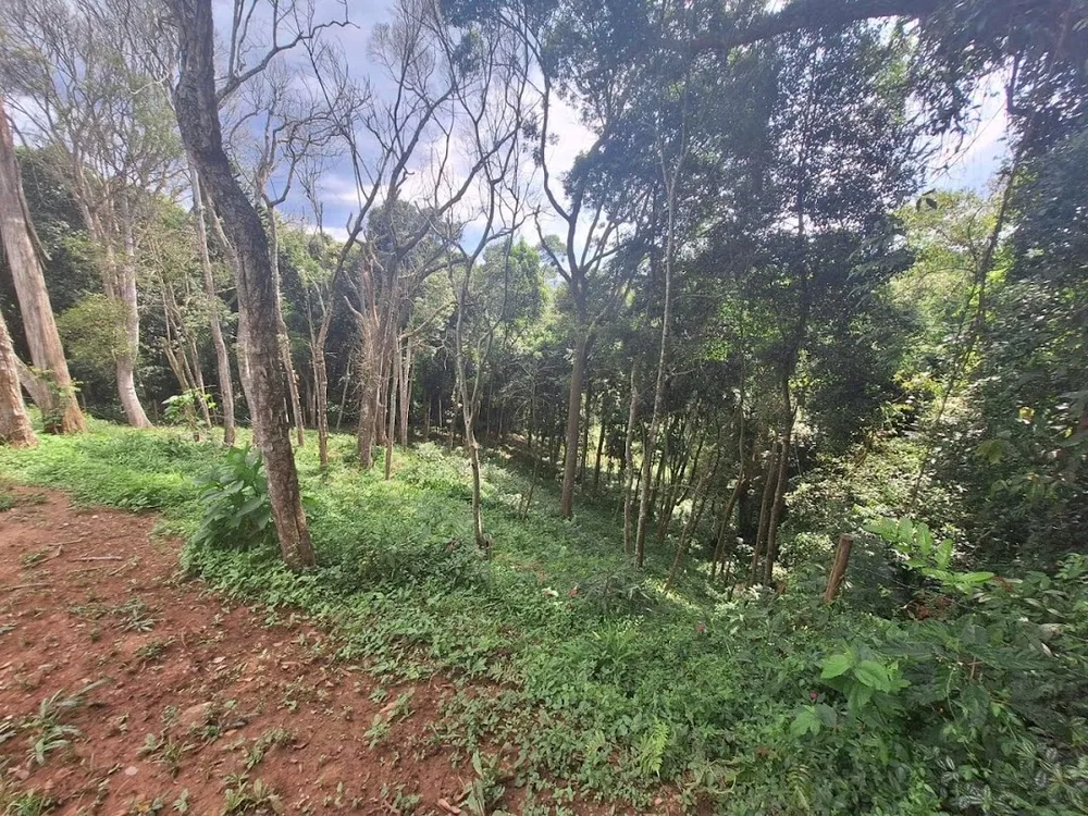 Terreno, 1575 m² - Foto 13