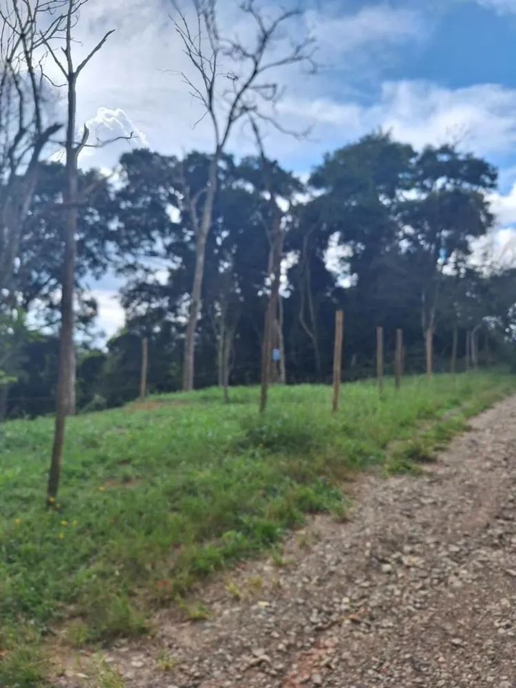 Terreno, 1575 m² - Foto 12