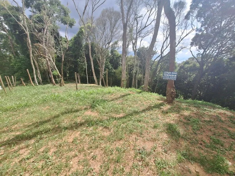 Terreno, 1575 m² - Foto 3