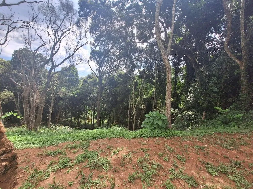 Terreno, 1575 m² - Foto 7