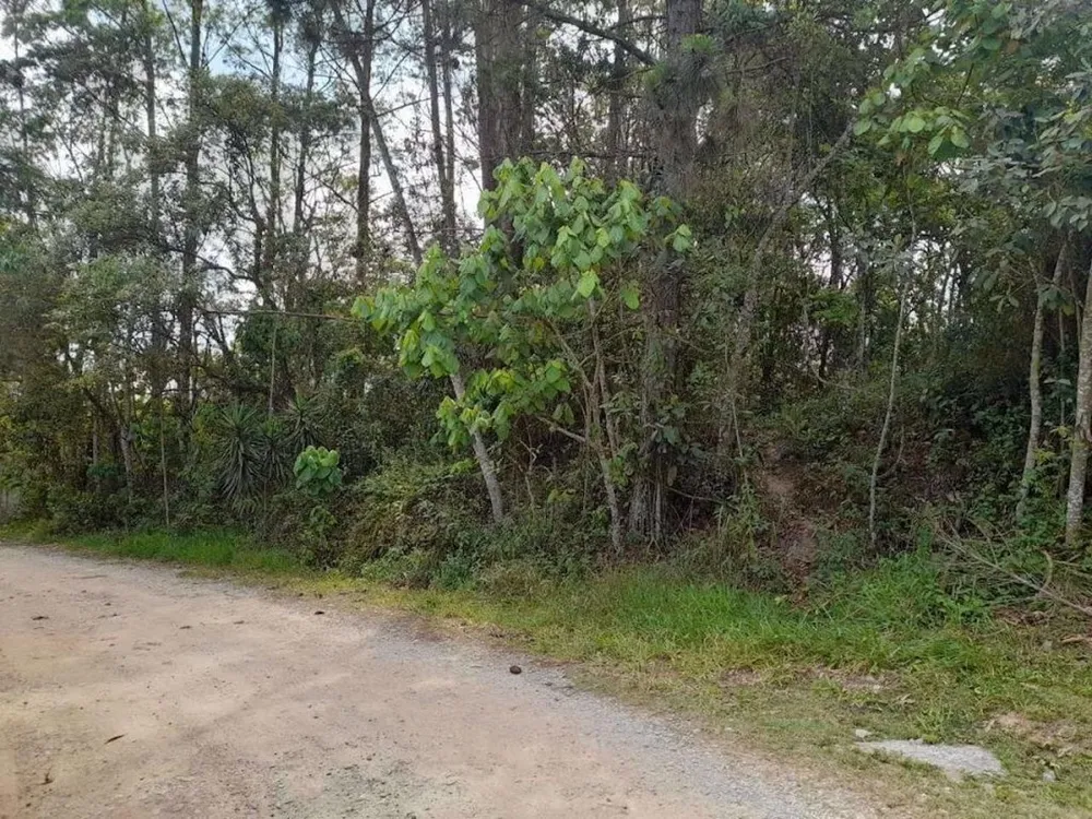 Terreno, 1550 m² - Foto 3