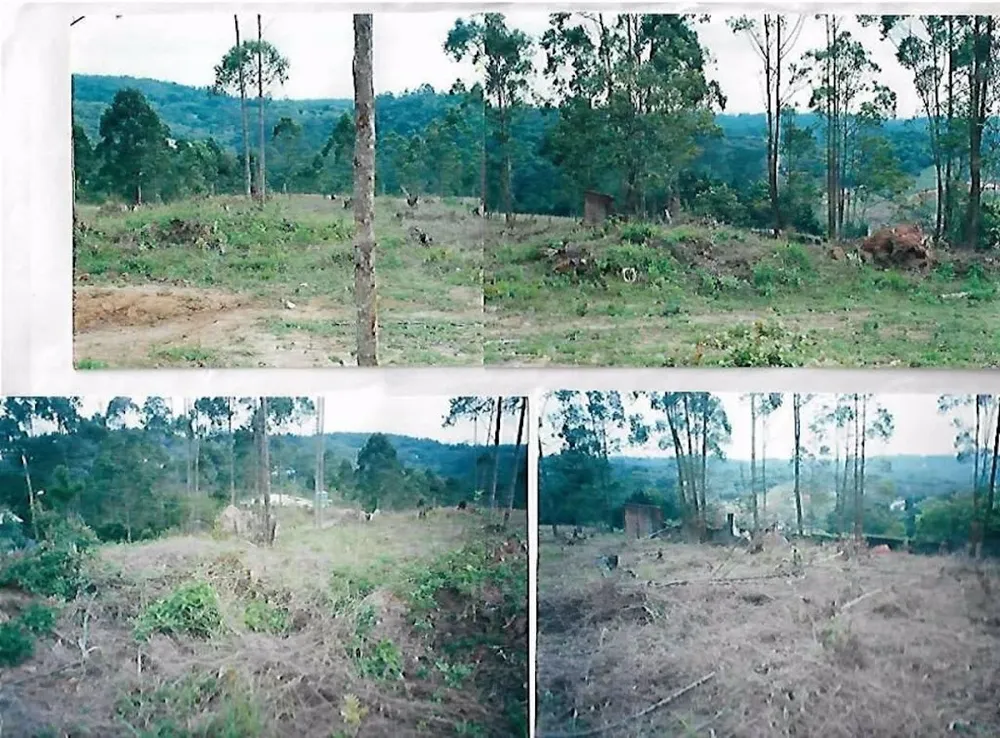 Terreno, 1550 m² - Foto 5