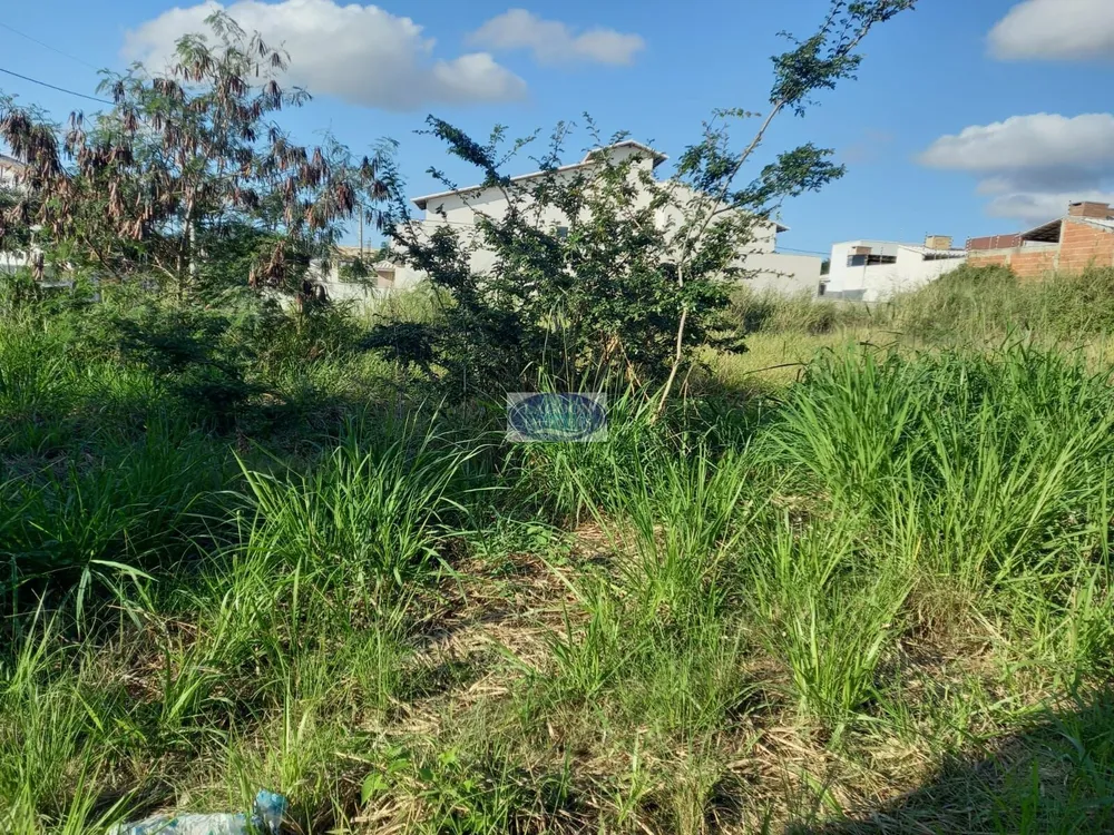 Terreno, 360 m² - Foto 8