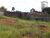 Terreno, 8000 m² - Foto 2